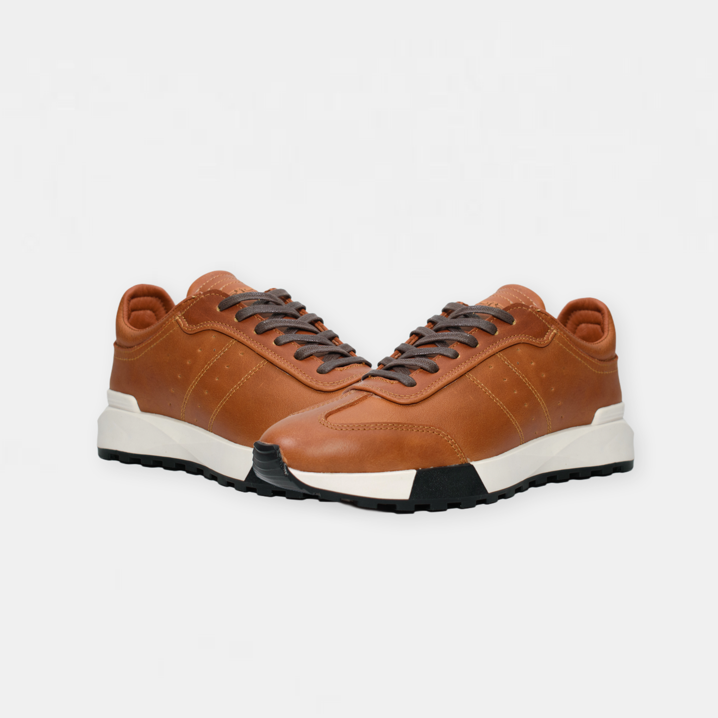 Maximilian - Cafe Negro